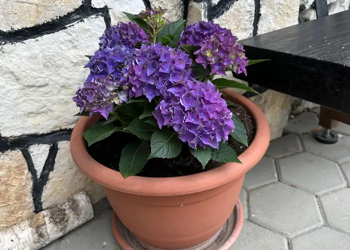 Planinska Koca Na Kopitniku Lodge Dol pri Hrastniku